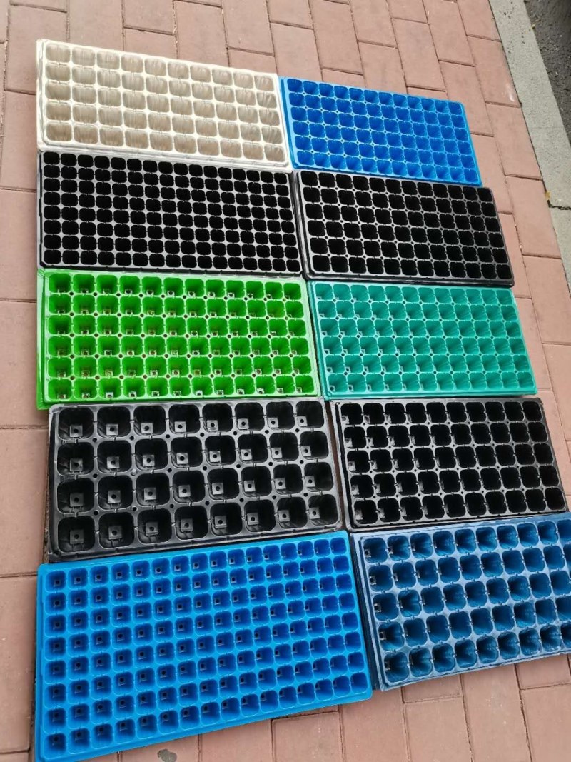 pet材料32，50，72，105穴，育苗穴盘，一手货源。
