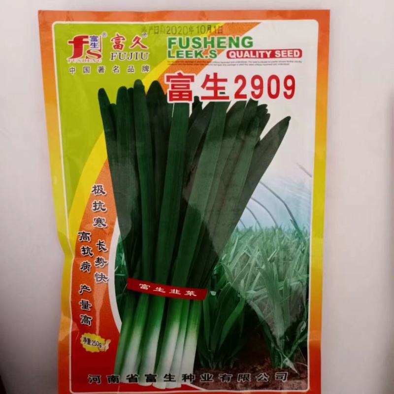 韭菜种子特选四季不休眠品种耐寒能力强高产富韭品种种子