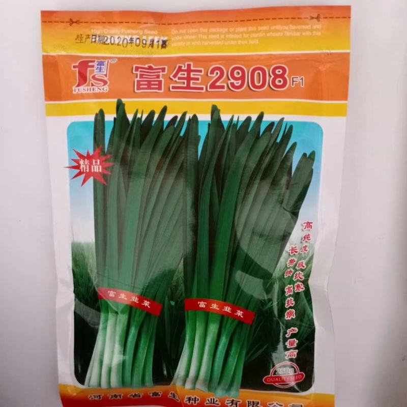 韭菜种子特选四季不休眠品种耐寒能力强高产富韭品种种子