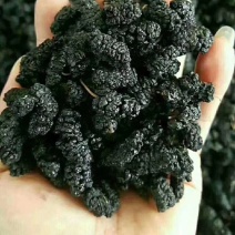 【热销】无沙桑椹干，药食两用质优价廉产地直销可对接各