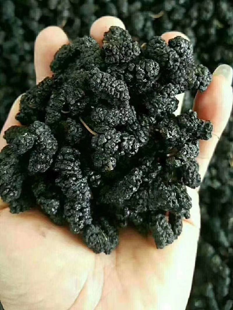 【热销】无沙桑椹干，药食两用质优价廉产地直销可对接各