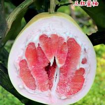 新鲜红心柚，有机肥料种植，口感不错，大小均匀、优选优购。