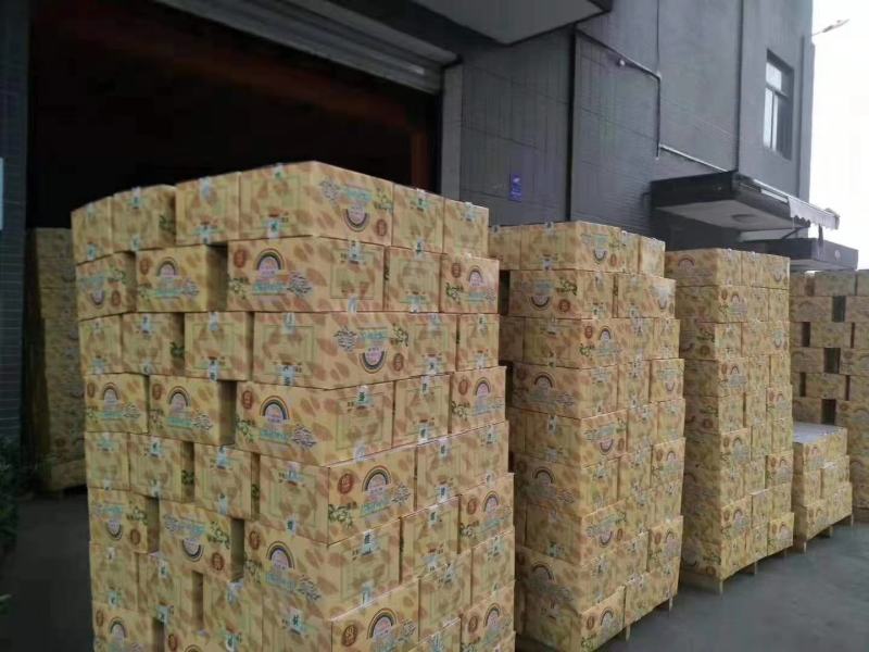 美国大自开原色杭派天虹老顽童自然开口开心果