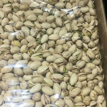 美国大自开原色杭派天虹老顽童自然开口开心果