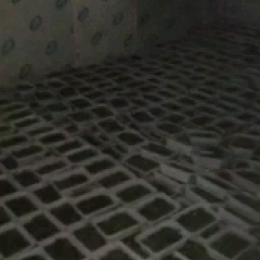 野生冷冻荠菜大量有货品质保证一手货源工厂直发物美价廉