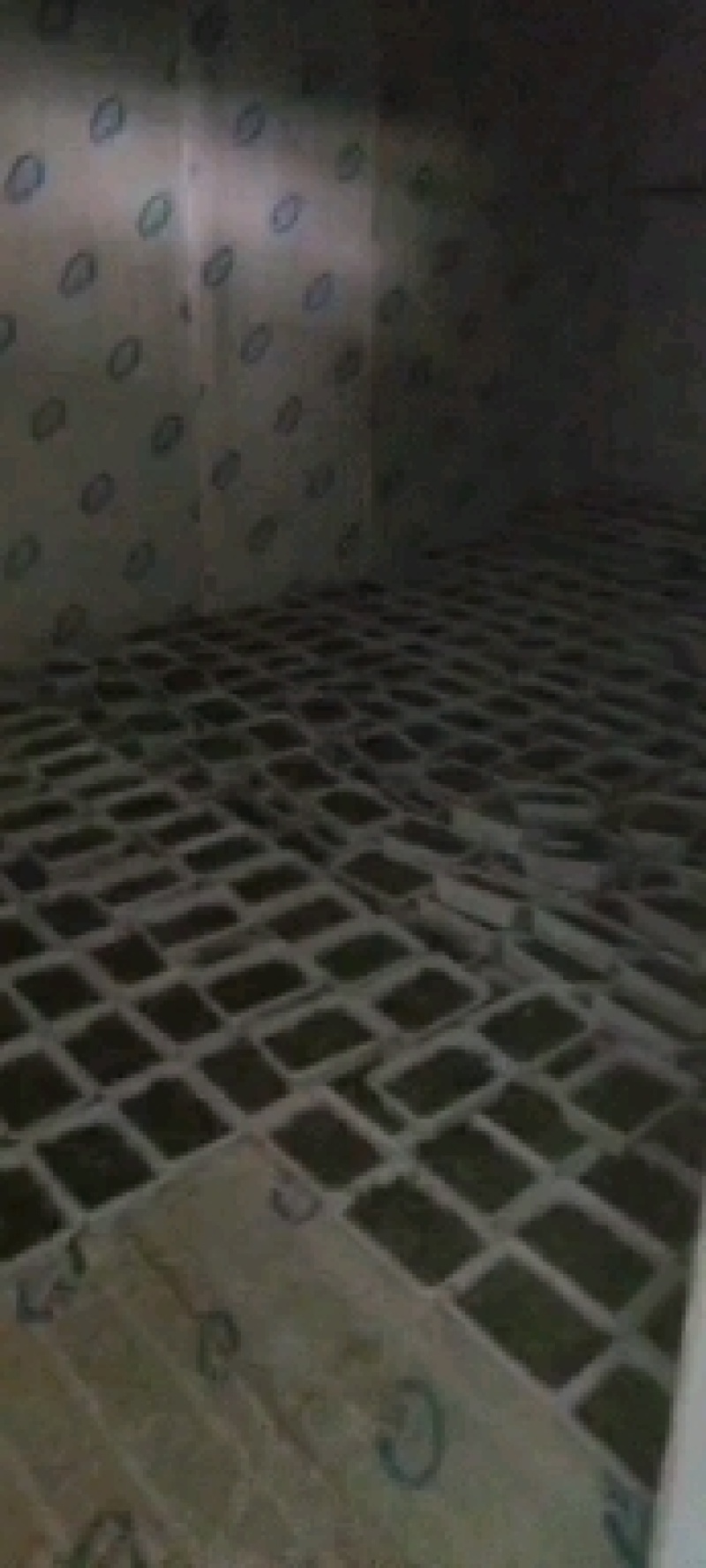 野生冷冻荠菜大量有货品质保证一手货源工厂直发物美价廉
