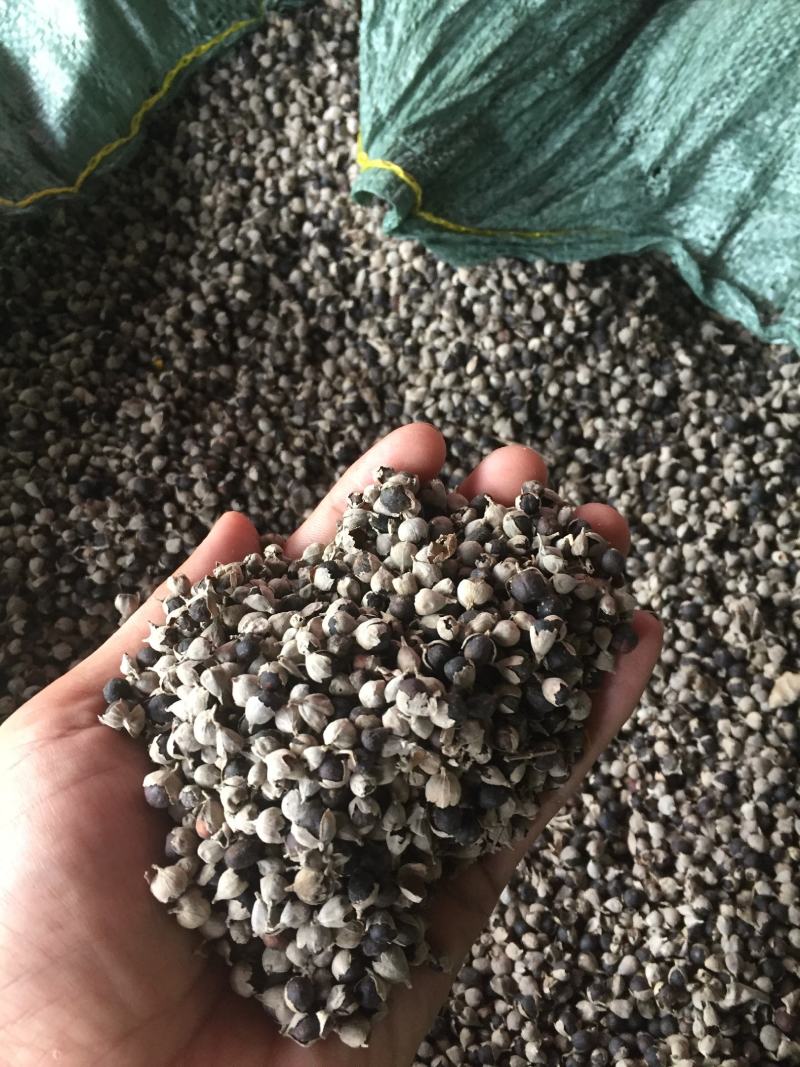 蔓荆子（产地一手货源，质量保证）