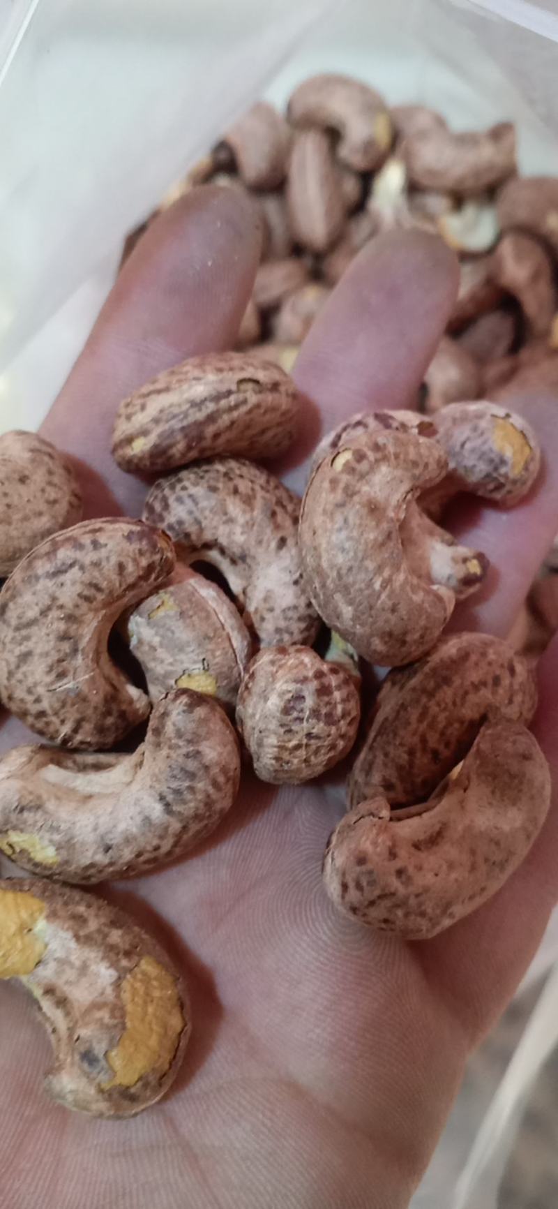 越南腰果炭烧A180