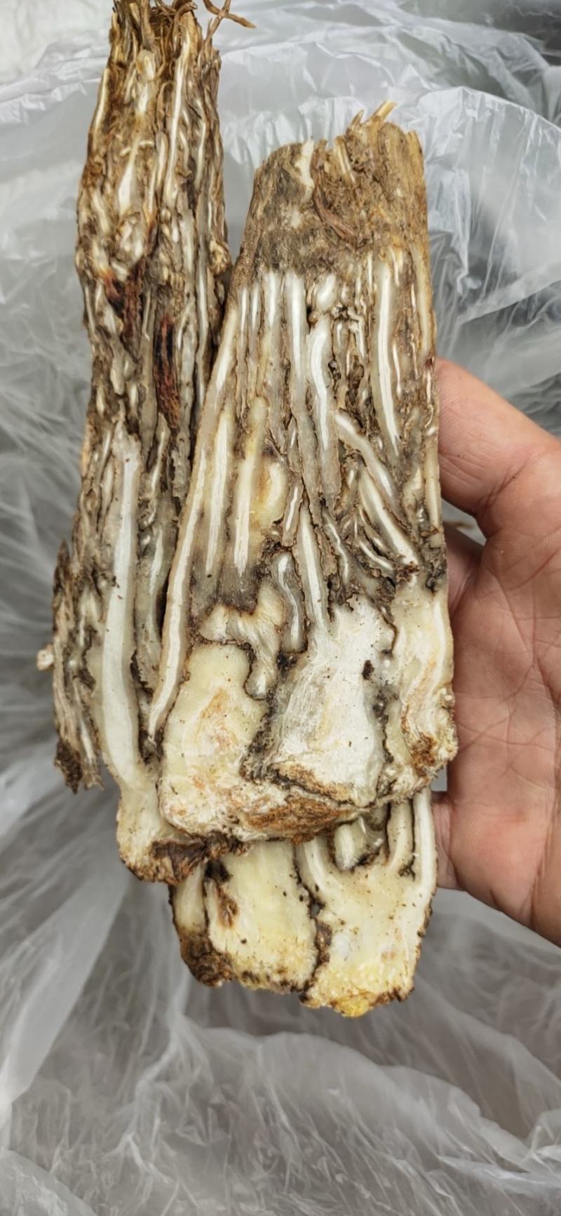 滋补品当归片无硫芯片可供当归个子