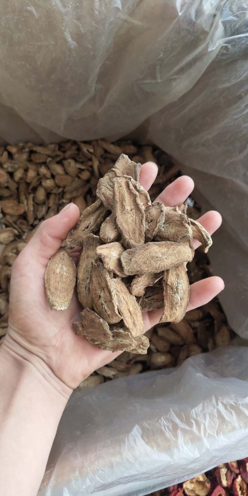 牛蒡茶大片无杂质可直接泡水喝