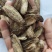 牛蒡茶大片无杂质可直接泡水喝
