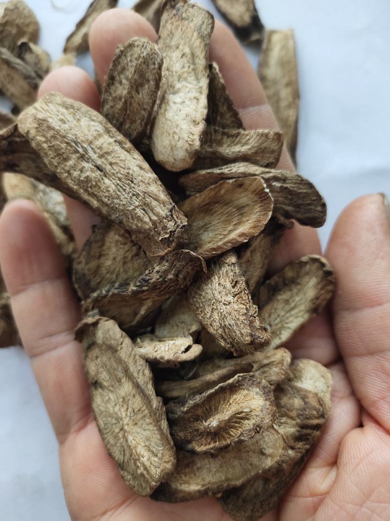 牛蒡茶大片无杂质可直接泡水喝