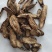 牛蒡茶大片无杂质可直接泡水喝