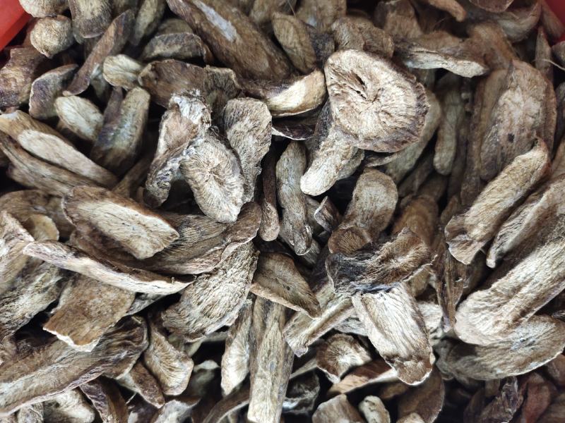 牛蒡茶大片无杂质可直接泡水喝