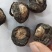 秘鲁玛卡野生个子天然物种可供玛卡片