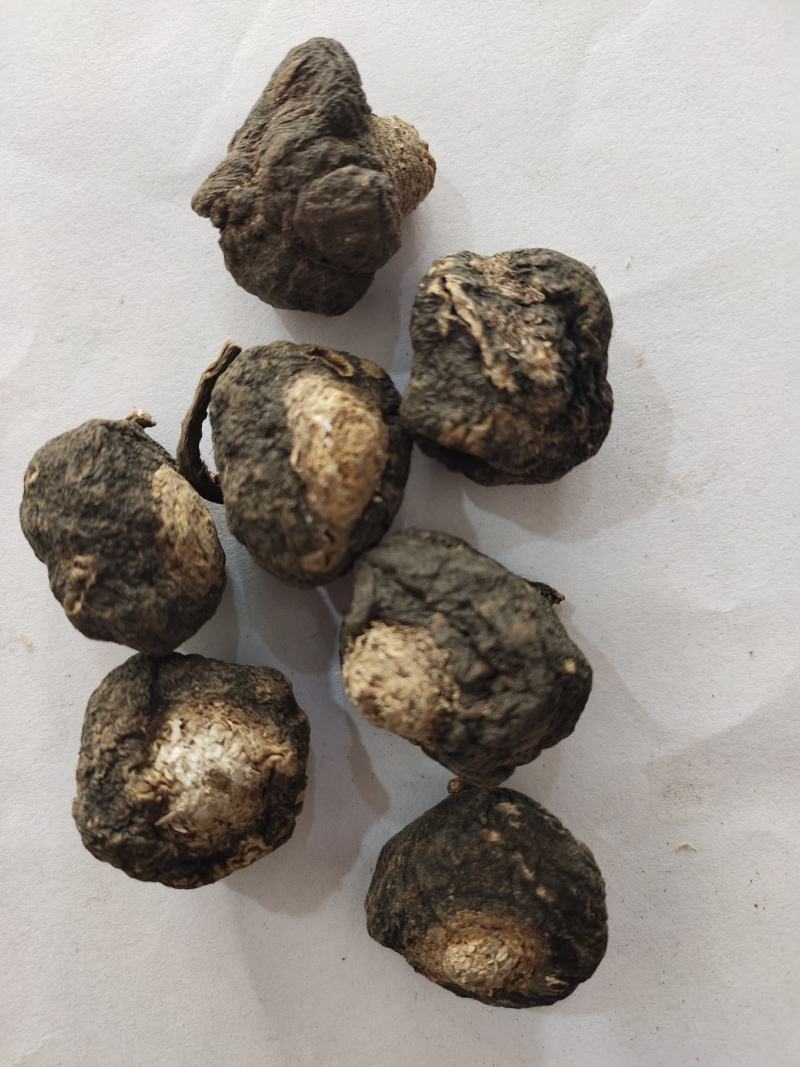 秘鲁玛卡野生个子天然物种可供玛卡片