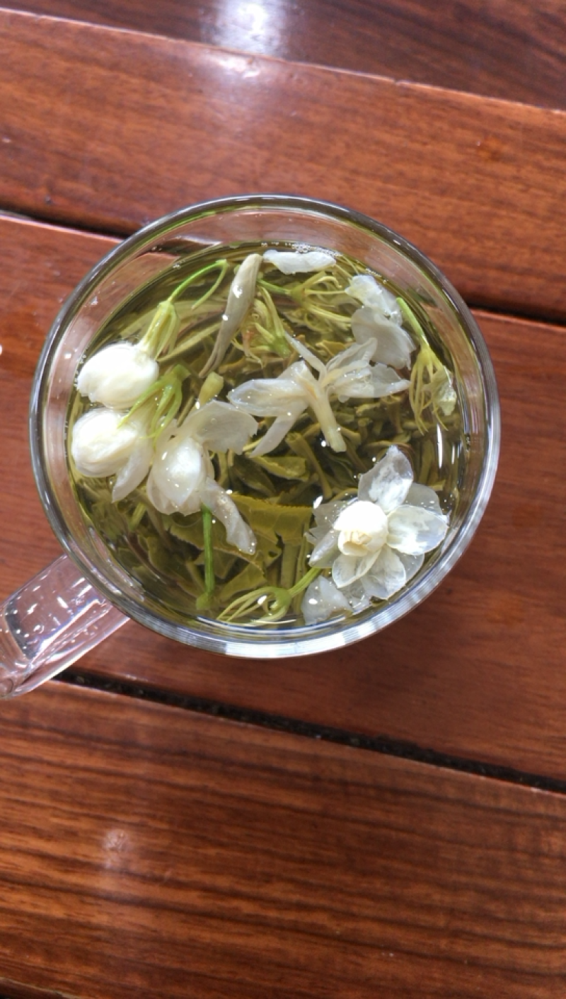 茉莉花茶茉莉雪芽2022年茉莉花茶包邮