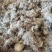 雪莲花干货西藏特产藏雪莲实拍图一公斤起包邮