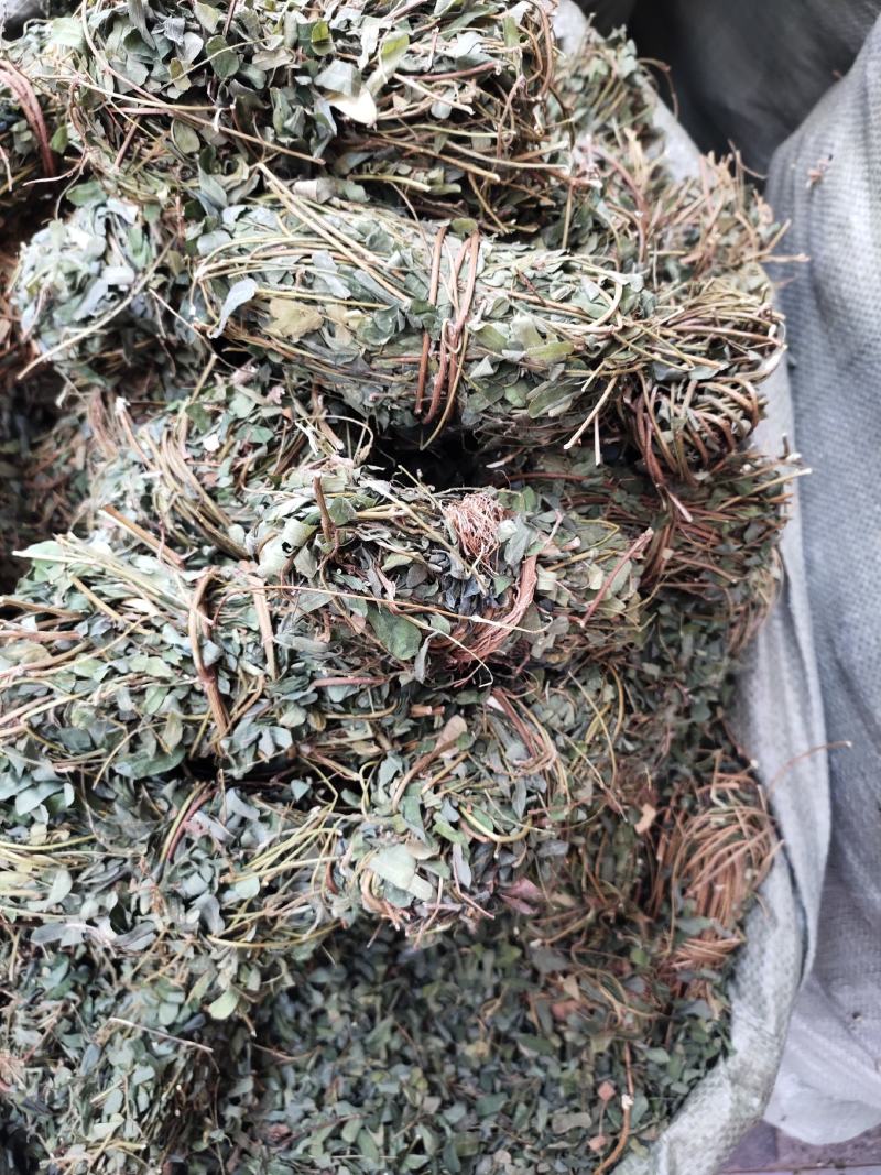 带叶鸡骨草茶小扎捆绑鸡骨草颜色青绿，货源充足