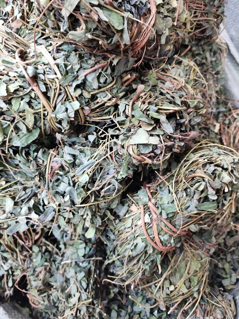 带叶鸡骨草茶小扎捆绑鸡骨草颜色青绿，货源充足