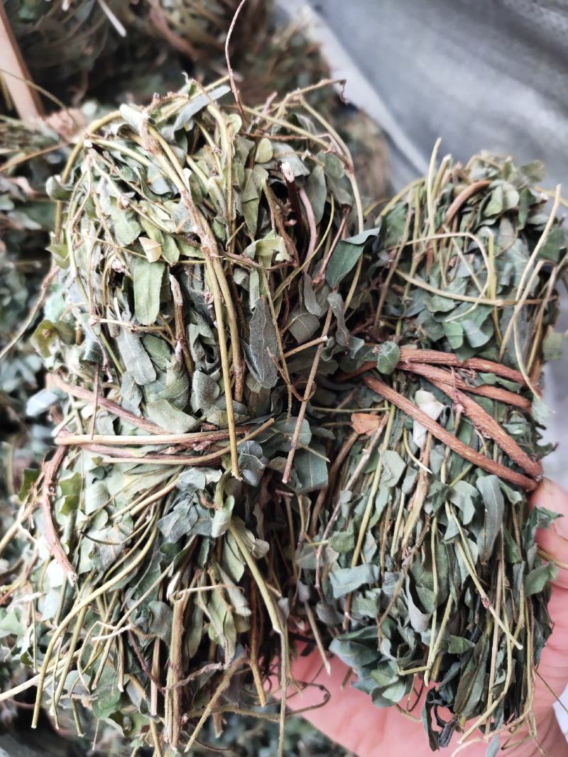 带叶鸡骨草茶小扎捆绑鸡骨草颜色青绿，货源充足