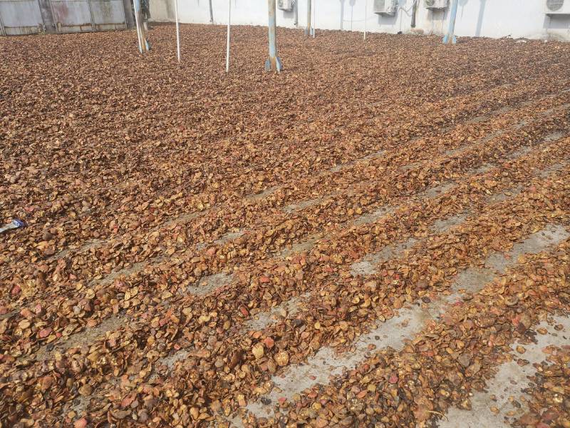 常年供应各种规格的石榴皮、石榴皮粉、石榴籽，量大优惠