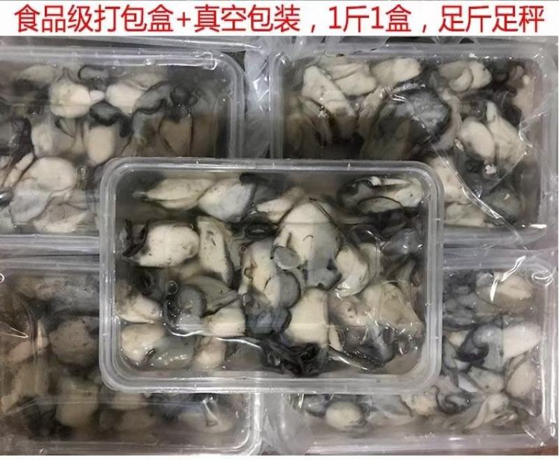 包邮生蚝肉，大个头现开现发，可批发包邮到家！精选非通货