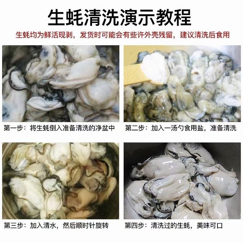 包邮生蚝肉，大个头现开现发，可批发包邮到家！精选非通货