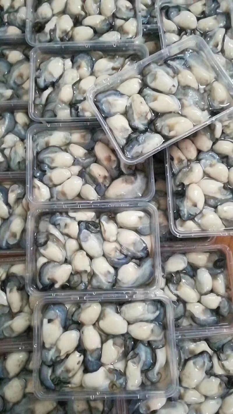 包邮生蚝肉，大个头现开现发，可批发包邮到家！精选非通货