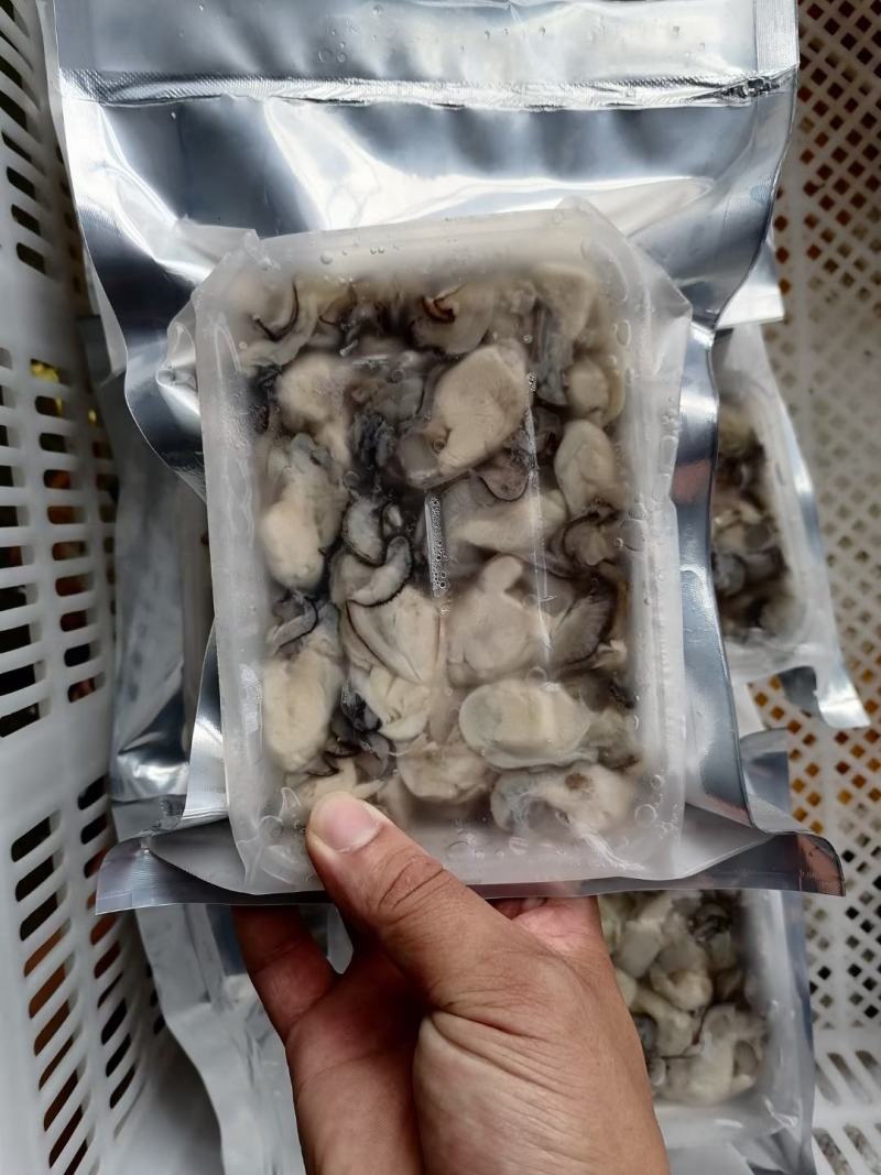 包邮生蚝肉，大个头现开现发，可批发包邮到家！精选非通货