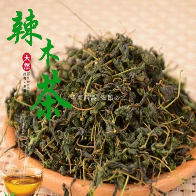 辣木树树苗神奇食用辣木苗正宗印度辣木树盆栽辣木籽树苗