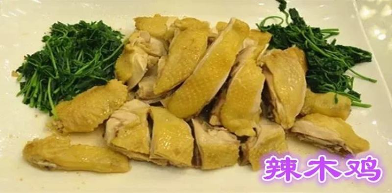辣木树树苗神奇食用辣木苗正宗印度辣木树盆栽辣木籽树苗