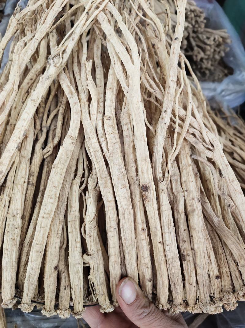 无硫党参条可供切好的大条党参级别
