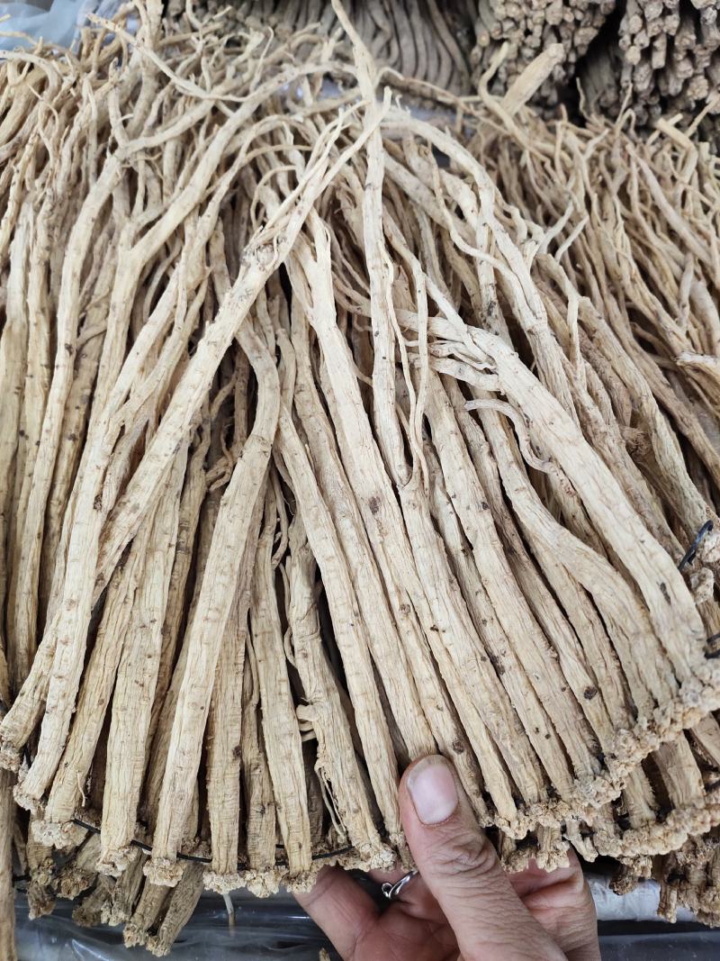无硫党参条可供切好的大条党参级别
