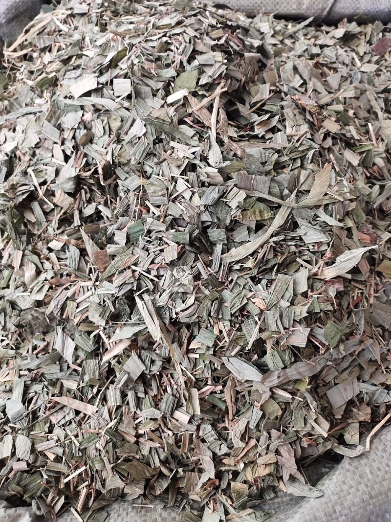 淡竹叶广西产地货竹叶农产品初加工