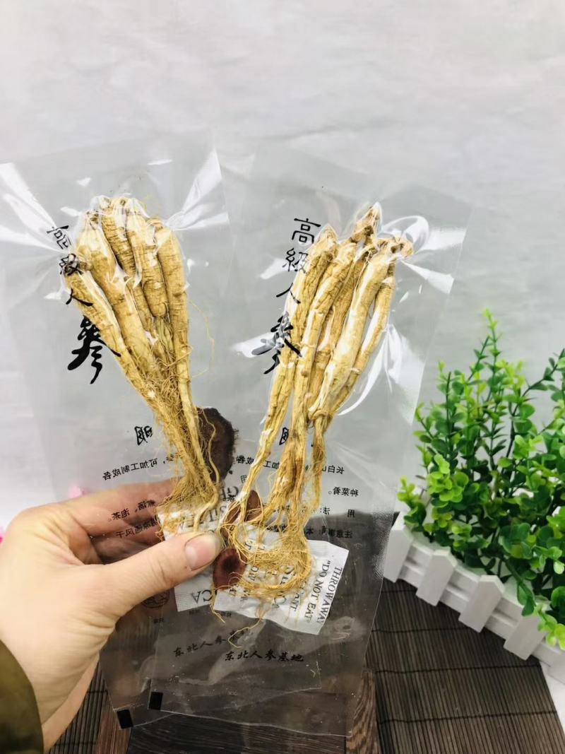 白参生晒参单支5支装单独包装袋装