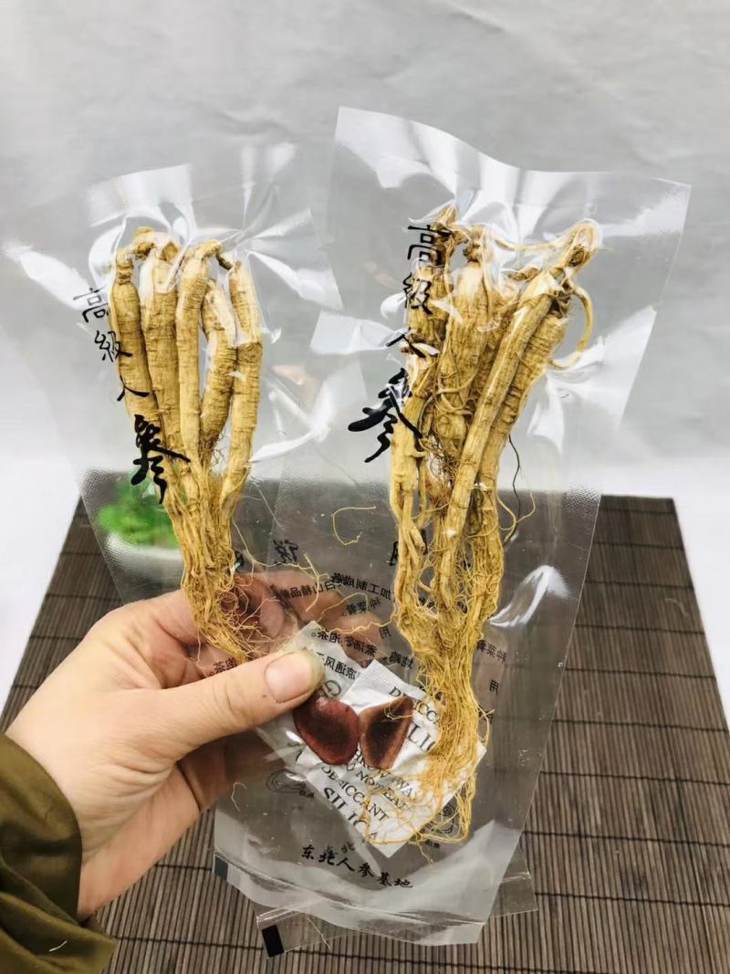 白参生晒参单支5支装单独包装袋装