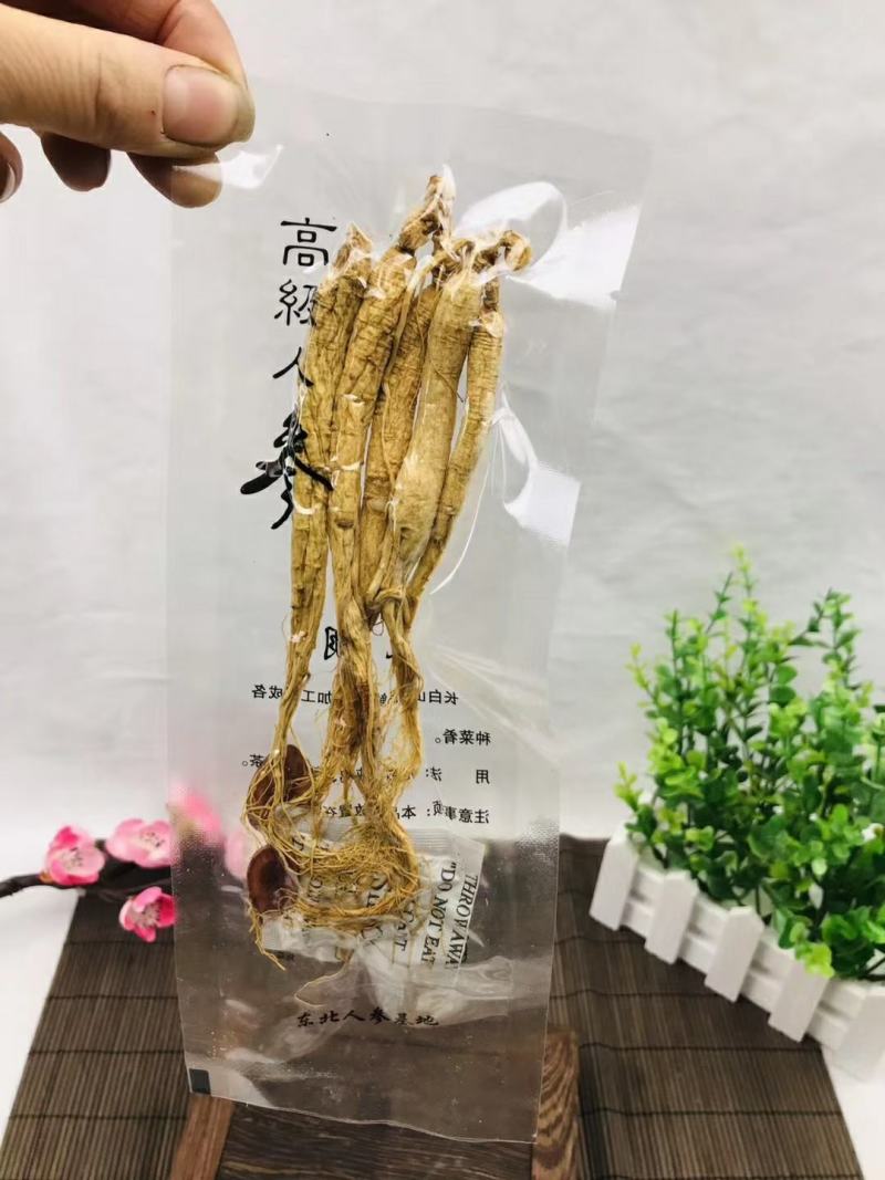 白参生晒参单支5支装单独包装袋装