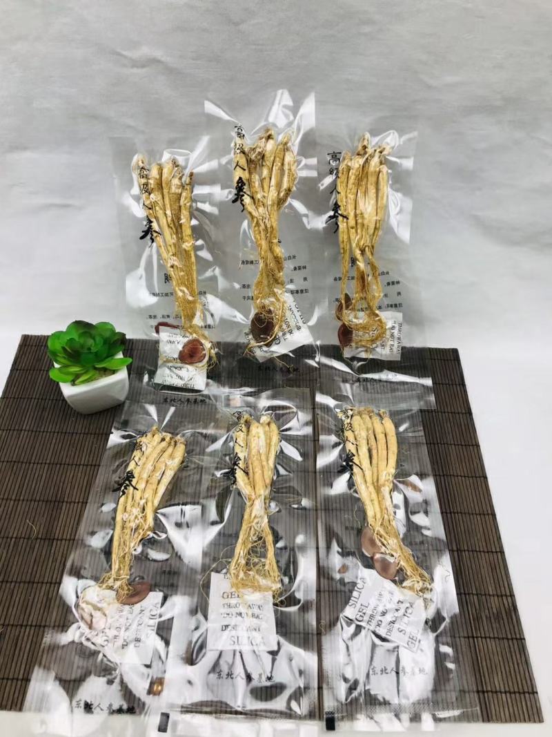 白参生晒参单支5支装单独包装袋装