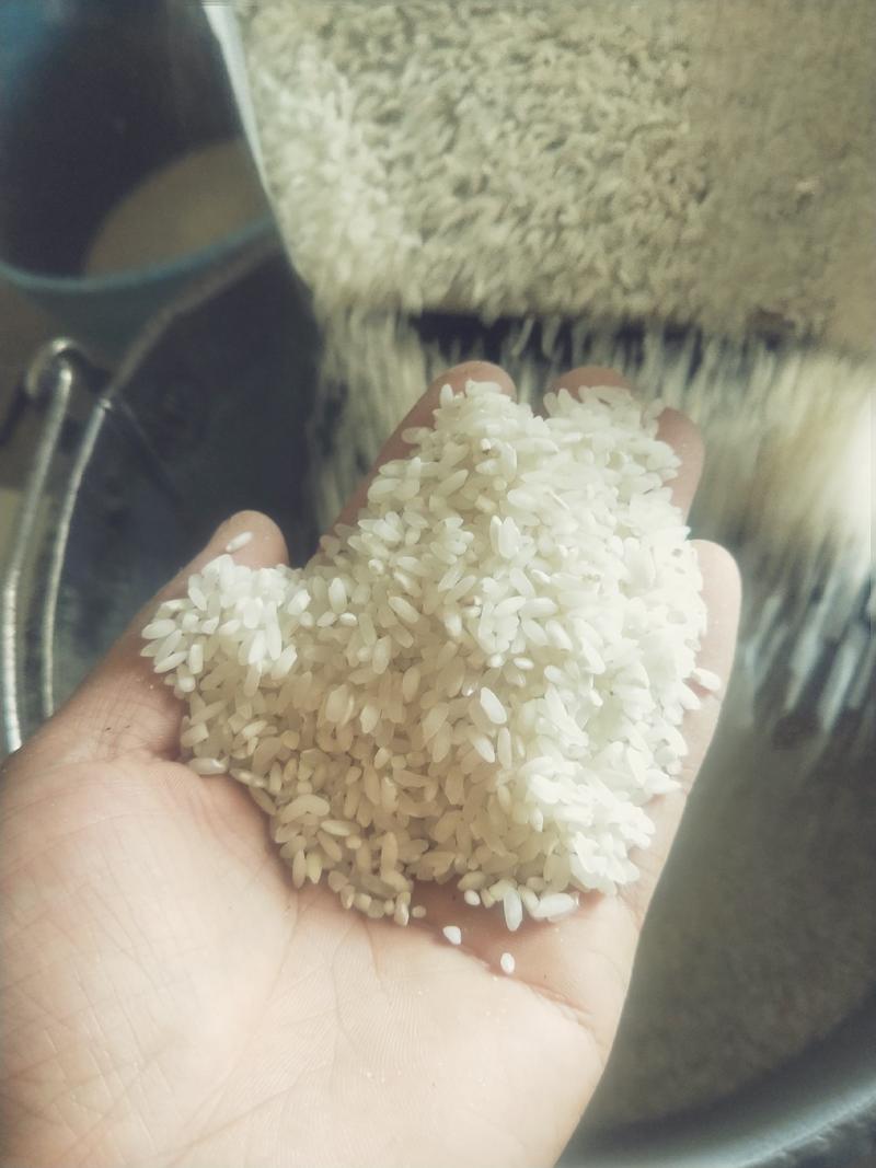 大米优质大米杂交米自己家种的水稻自己加工的。保证质量
