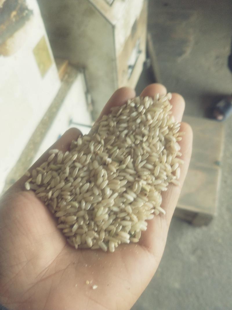 大米优质大米杂交米自己家种的水稻自己加工的。保证质量