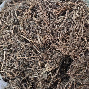 野生马齿笕马齿菜马齿苋干整株发货，药用老水货一手货源