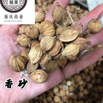 香砂大料香砂保庆药业批发香砂实物拍摄