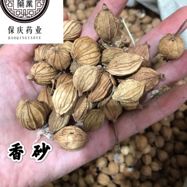 香砂大料香砂保庆药业批发香砂实物拍摄