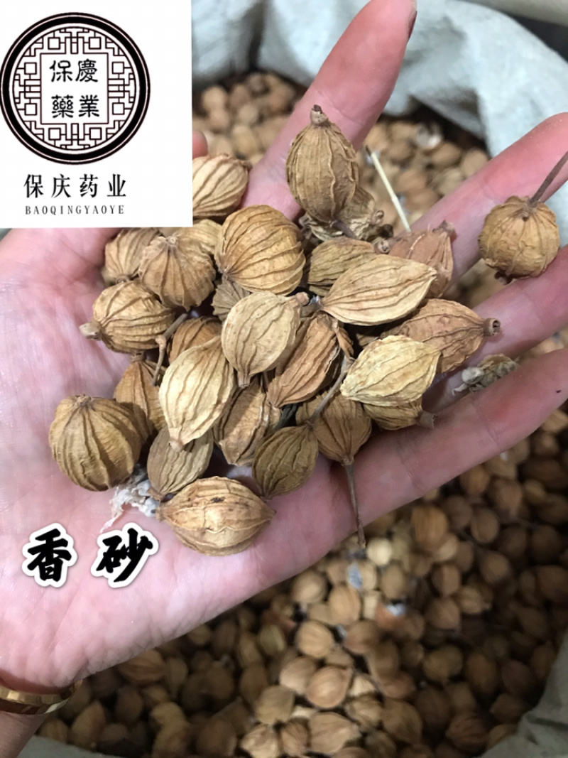 香砂大料香砂保庆药业批发香砂实物拍摄