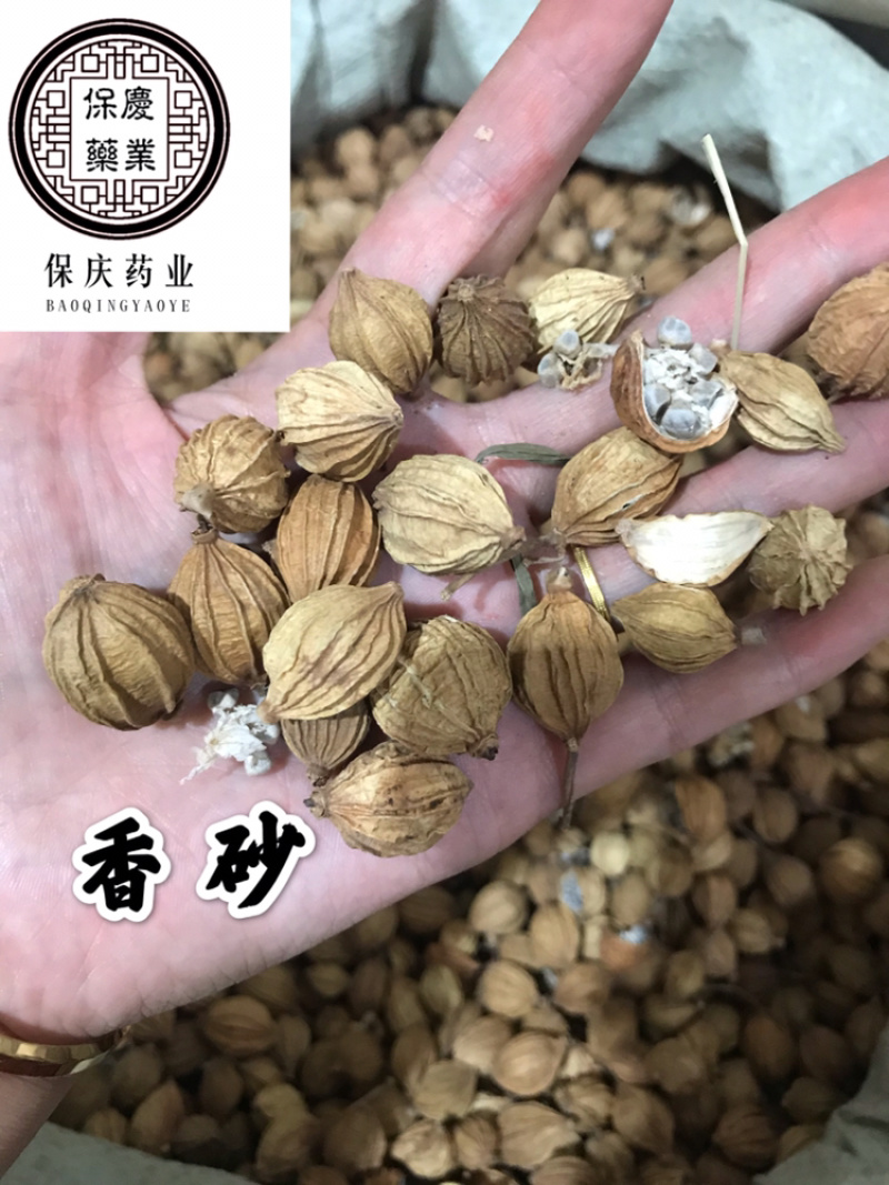 香砂大料香砂保庆药业批发香砂实物拍摄