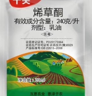 二甲四氯钠小麦田除草剂56除播娘蒿等阔叶草