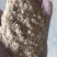 精品麦麸.麸皮，厂家直供，品质保证，诚信经营，量大从优