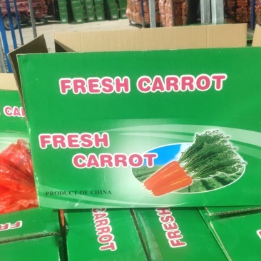 精品胡罗卜