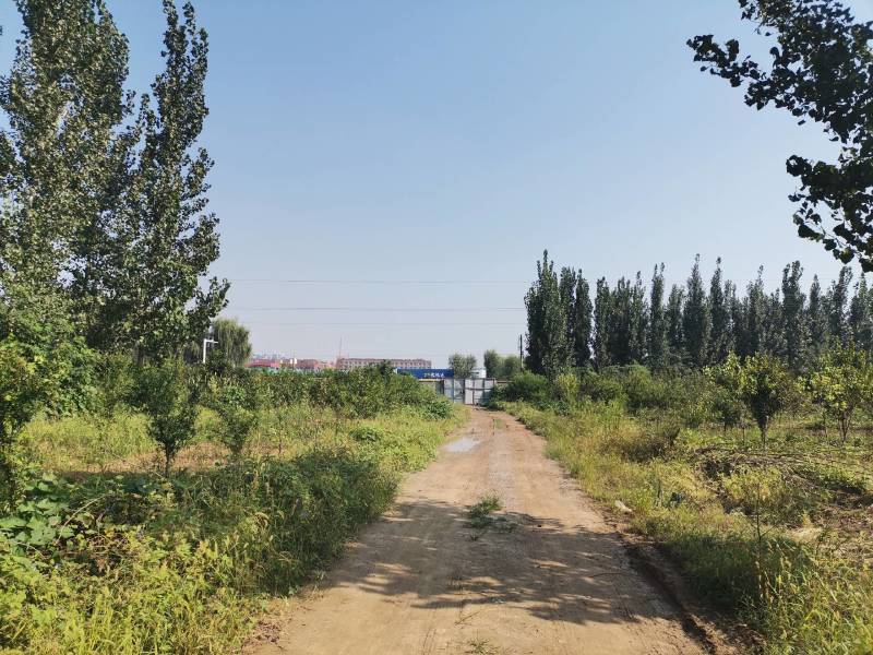 大院内有围栏林地出租养鸡鸭鹅，水电住房齐全